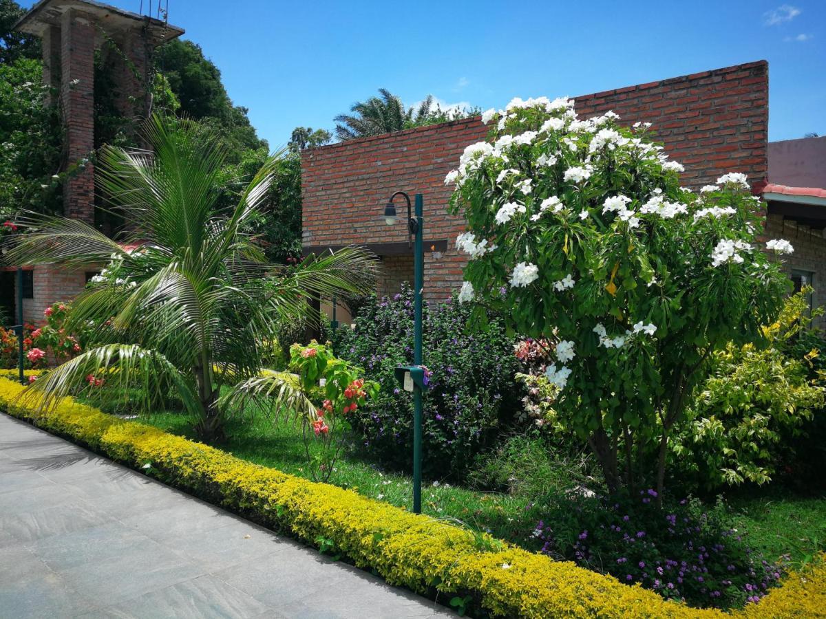 Los Jazmines Hotel Resort Варнес Экстерьер фото